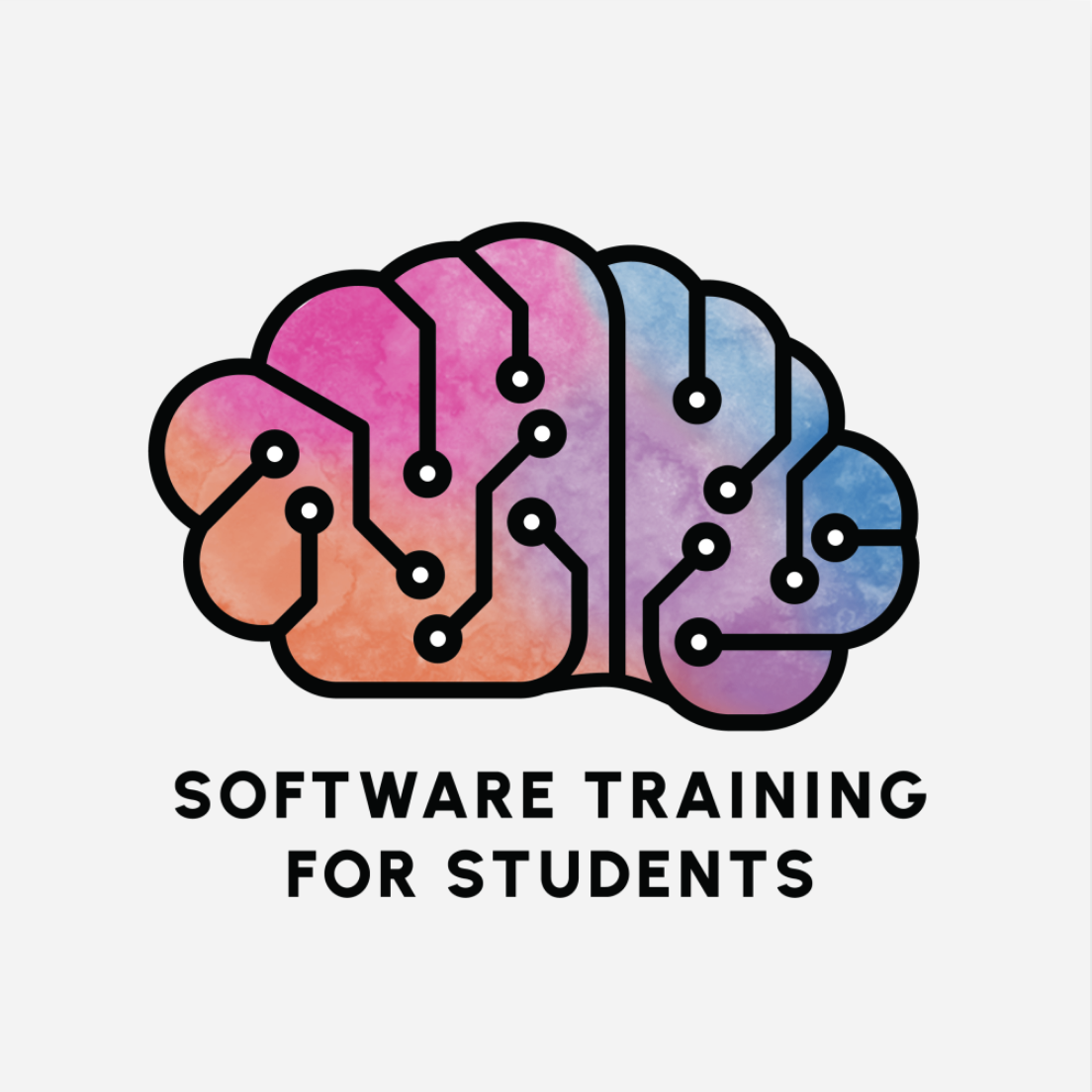 Software Training for Students logo